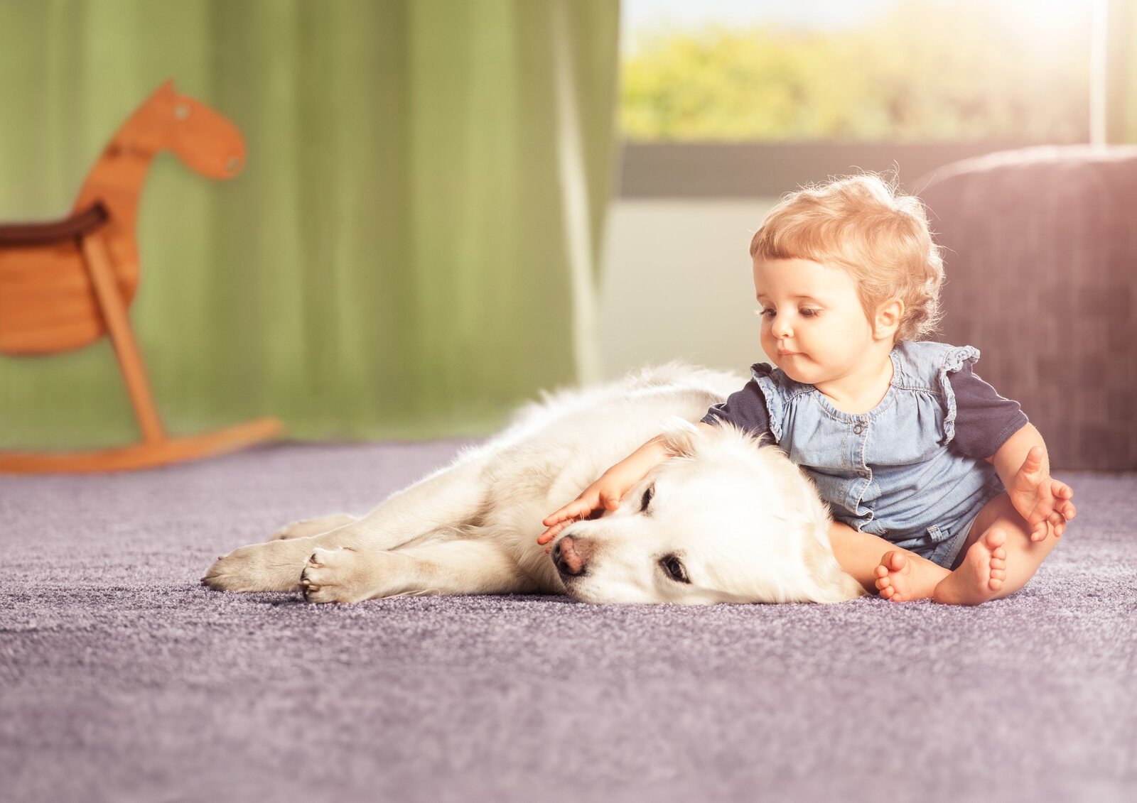 Kind und Hund auf einem gepflegten Teppichboden